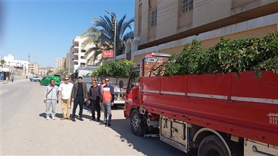 محافظ الفيوم يتابع استلام دفعة جديدة من الأشجار لغرسها بالمدارس ومراكز الشباب