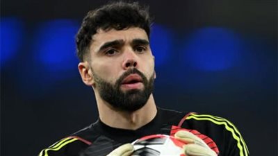 ديفيد رايا يفوز بجائزة القفاز الذهبي لموسم 2025/26 بالدوري الإنجليزي