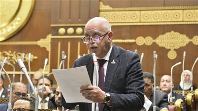 النائب حازم الجندي: اتصال الرئيس السيسي ببن زايد رسالة تأكيد على وحدة المصير والدم