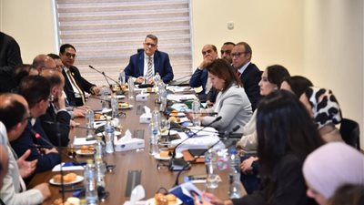 رئيس جامعة المنصورة يستعرض أمام مجلس النواب جهود تعزيز حقوق الإنسان