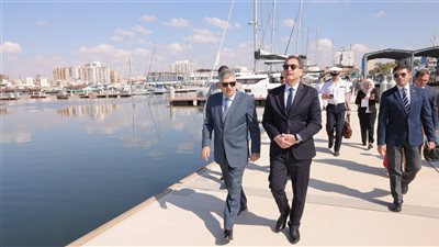 ربيع والسفير الفرنسي يتابعان مرور حاملة الطائرات ديجول بقناة السويس