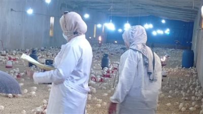 تحصين 116 ألف طائر ضد إنفلونزا الطيور والأمراض الوبائية بالشرقية