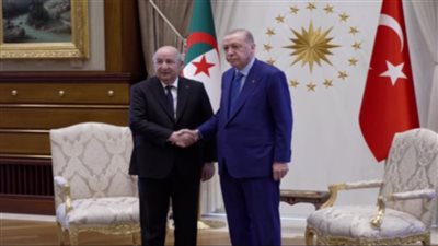 تبون يبحث مع أردوغان التطورات في الخليج والشرق الأوسط