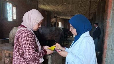 فحص 6868 رأس ماشية ضد البروسيلا والسل بالشرقية