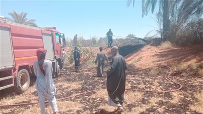 الحماية المدنية تسيطر على حريق بمزرعة قمح بوادي الصعايدة بمركز إدفو بأسوان