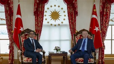 نائب الرئيس الإماراتي يبحث مع أردوغان مسارات التعاون