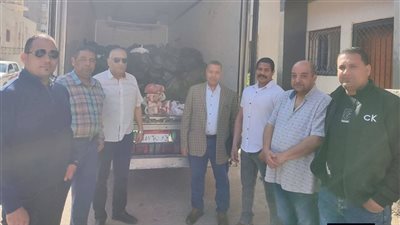 ضبط 5 أطنان لحوم مجمدة فاسدة قبل بيعها بالفيوم 