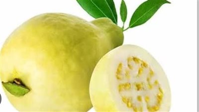 الجوافة.. فاكهة غنية بالعناصر الغذائية وفوائد صحية تدعم المناعة والقلب