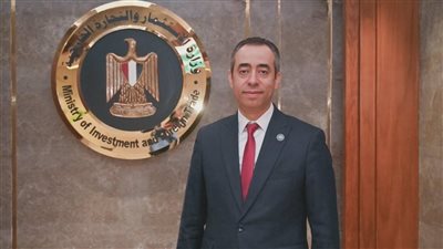 شريف يحيى مساعدًا لوزير الاستثمار  لشئون التطوير والتحول الرقمي