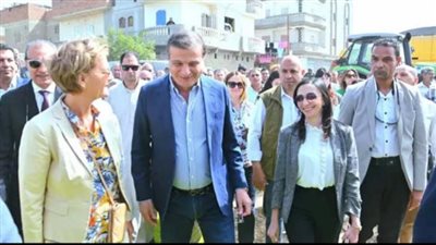 ميكنة حديثة وشراكات دولية.. مصر تواصل تطوير منظومة حصاد القمح