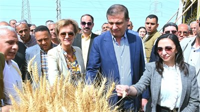 وزير الزراعة ومحافظ البحيرة يشهدان حصاد القمح بأحد الحقول بدمنهور 
