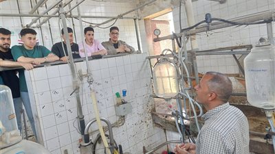 كلية الطب البيطري بكفرالشيخ تنفذ تدريبًا ميدانيًا بمحطة سخا