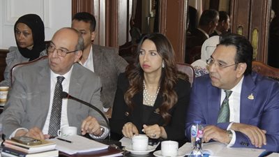 النائبة نشوى الشريف: يجب توفير حماية قانونية واجتماعية للزوجة الأرملة التي لم تنجب