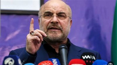 رئيس البرلمان الإيراني: لا بديل عن قبول حقوقنا 