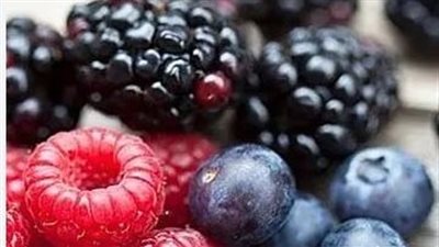 التوت البري.. فاكهة صغيرة بفوائد كبيرة لصحة الجسم