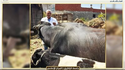 «قوافل بيطرى الزقازيق» تدعم مربي كفر أبو الديب مجانًا