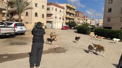 «صوت المواطن أولاً».. مبادرة للاستجابة الفورية للشكاوى عبر منصات التواصل