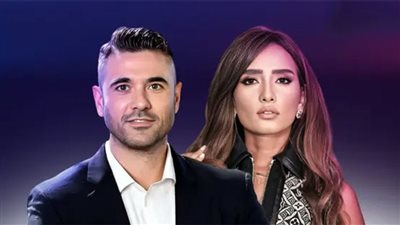 بأمر القانون..  أحمد عز ملزم بدفع 30 ألف جنيه أجر خادمة الفنانة زينة