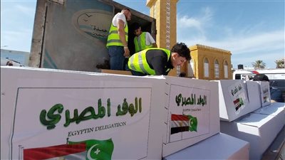 خلال اليوم الأول بشمال سيناء.. قافلة 
