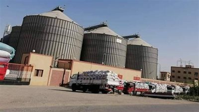  توريد 147 ألف طن قمح للشون والصوامع بالفيوم