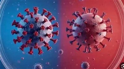أمريكا: 41 شخصا يخضعون للمراقبة بسبب فيروس هانتا