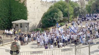«قطعان» المستوطنين تدنس «الأقصى» 