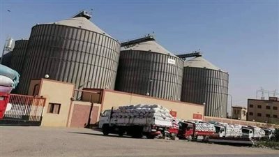  توريد 176 ألف طن قمح للهناجر والصوامع بالفيوم