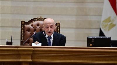 رئيس مجلس النواب الليبي: مصر سندٌ تاريخي لليبيا وداعم رئيسي للاستقرار وإعادة الإعمار