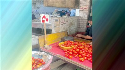 أسعار الطماطم «تعصر» المواطنين