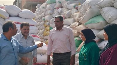حملات مكثفة لمتابعة توريد الأقماح وصيانة الحبوب بالبحيرة خلال موسم 2026