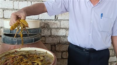 ضبط 5.5 طن مخللات فاسدة ومخالفات واسعة بالمخابز ومحطات الوقود بالشرقية