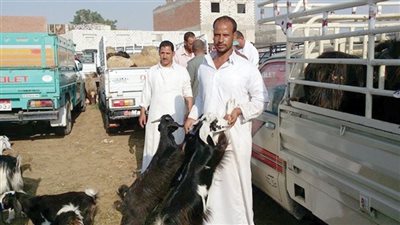 بسبب موجه الغلاء..الاضاحي خارج حسابات الاسر 3