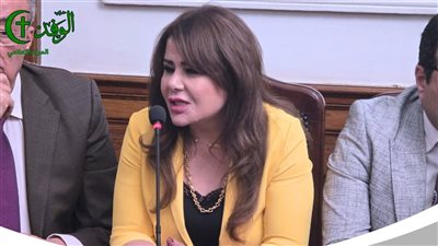النائبة أمل رمزي: قانون الأحوال الشخصية ليس 