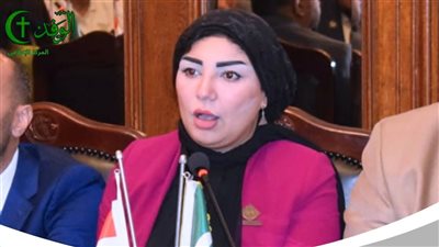 رشا أبو شقرة: الانحياز لمصلحة الطفل واستقرار الأسرة فى قانون الأحوال الشخصية ضرورة 