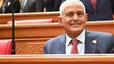 برلماني ينتقد تهميش الصعيد: غياب المرافق يعطل الاستثمار والتنمية الصناعية