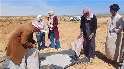 بحوث الصحراء ينفذ حقولاً إرشادية بمطروح لمواجهة التغيرات المناخية ودعم الأمن الغذائي