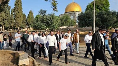 عاجل..الكويت تدين اقتحام مستوطنين متطرفين للمسجد الأقصى