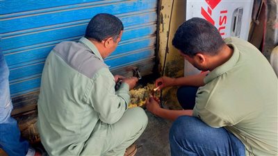 غلق وتشميع 67 محلًا وورشة غير مرخصة بالبحيرة