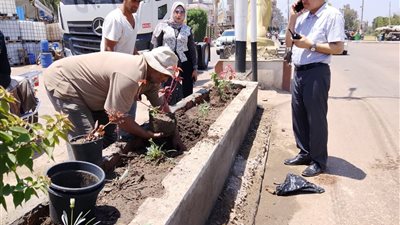 محافظ الدقهلية يتابع أعمال التطوير الشاملة ورفع الكفاءة بمدينة الجمالية