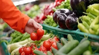 ارتفاعًا محدودًا في أسعار الخضروات والطماطم بشمال سيناء 