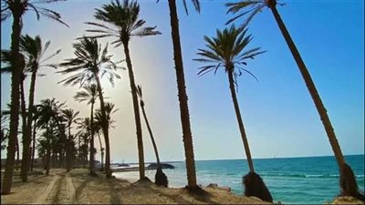 أجواءً ربيعية مستقرة بشمال سيناء 