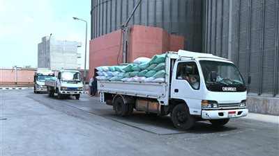 منذ بداية الحصاد.. توريد 318 ألف طن قمح إلى شون وصوامع البحيرة