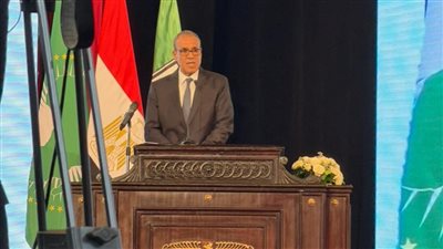 وزير الخارجية: بطرس بطرس غالي كانت له أيادٍ بيضاء في دعم القضايا الإفريقية