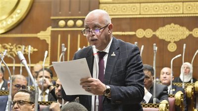حازم الجندي: كلمة الرئيس في يوم أفريقيا ترسم مرحلة جديدة من البناء والتنمية المستدامة