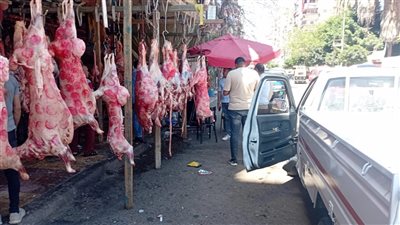 استعدادًا لاستقبال عيد الأضحى.. محافظ الإسكندرية يوجه مديرية التموين برفع الاستعدادات