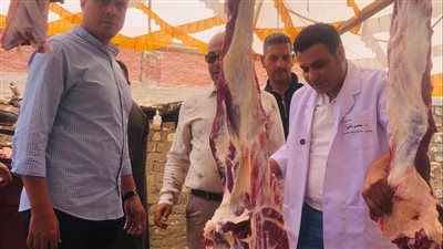 14 مجزر لذبح الأضاحي بالمجان في العيد بالفيوم