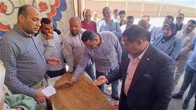 توريد 212 ألف طن قمح بشون وصوامع الفيوم