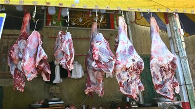 فتح مجازر البحيرة بالمجان للأهالي والجمعيات الخيرية طوال أيام العيد
