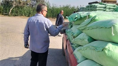 توريد 262 ألف طن قمح لمواقع التخزين والصوامع بالدقهلية 