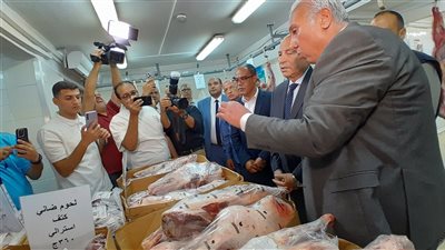 محافظ القاهرة: رفع درجة الاستعداد القصوى قبل العيد لضمان توفير السلع الأساسية للمواطنين